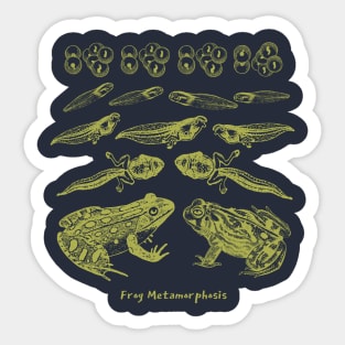 Frog Metamorphosis: The Tale of Frog-Inspired Transformations Sticker